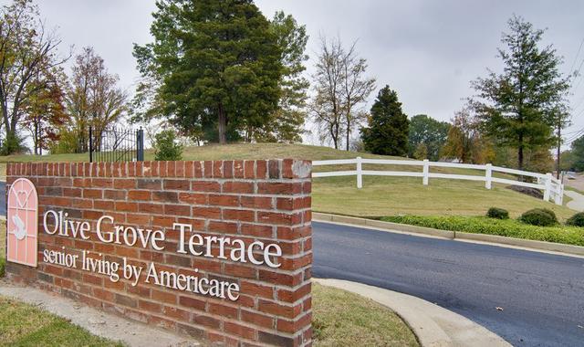 Olive Grove Terrace