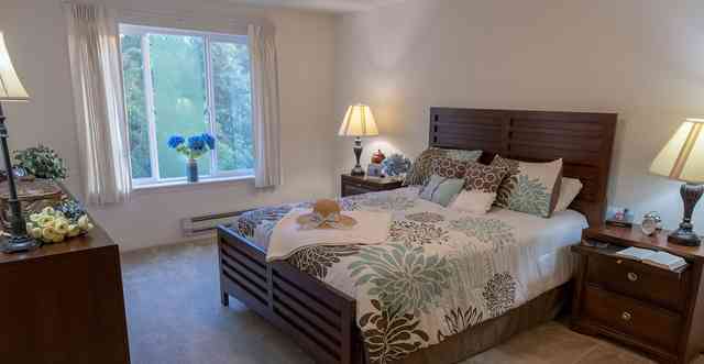 Holiday Pinecrest
