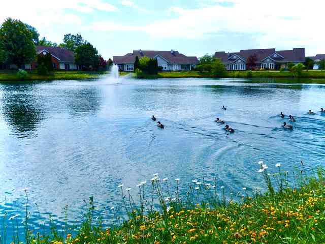 Wesleyan Meadows of Sheffield Village