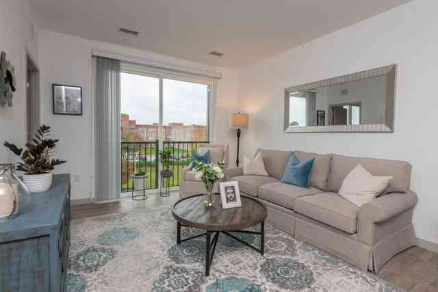 Zen. Apartments