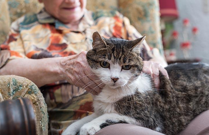 Image of Albuquerque Grand Senior Living