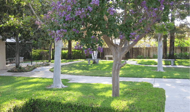 Livermore Valley Senior Living