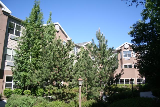 Truewood by Merrill, Cottonwood Heights