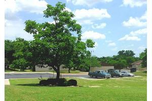 Shady Oak Manor Apartments