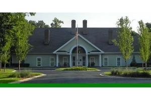 Image of The Elms Of Chaleston