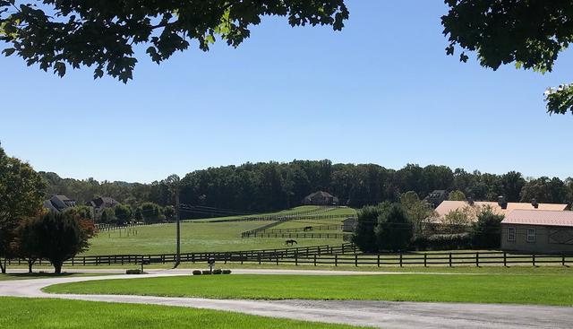 Elternhaus Assisted Living
