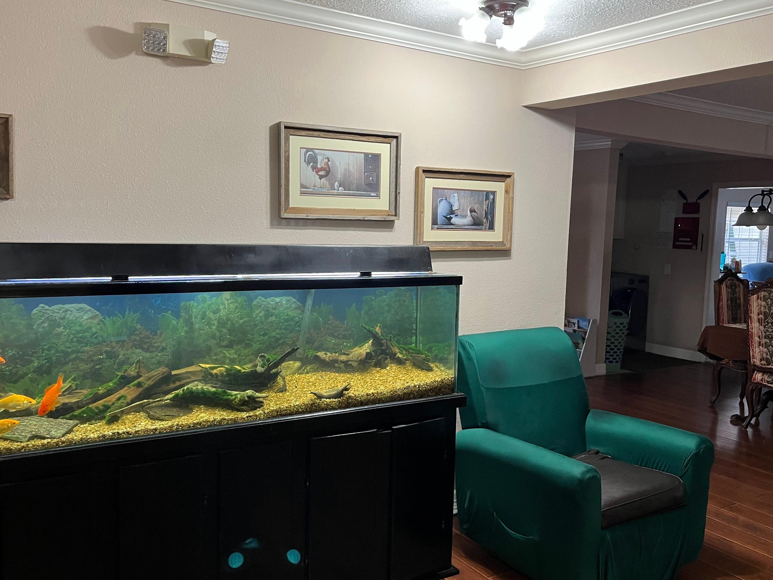 Avista Home