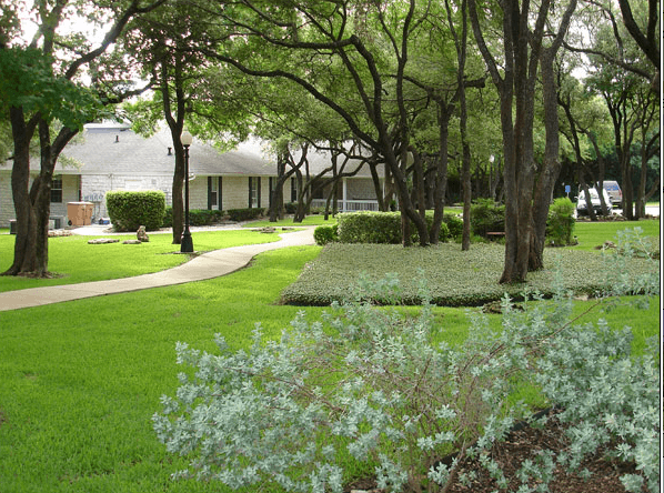 Colonial Gardens - Austin